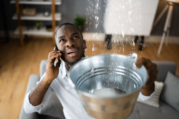 Best Mold removal after water damage  in Shelburne Falls, MA