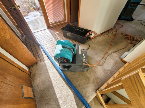 Best Flood restoration services  in Shelburne Falls, MA