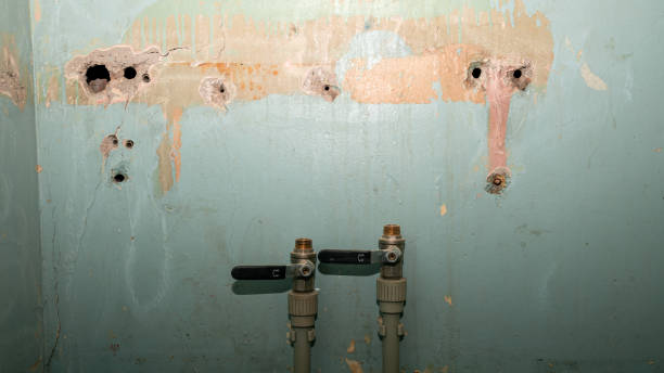  Shelburne Falls, MA Water damage restoration Pros