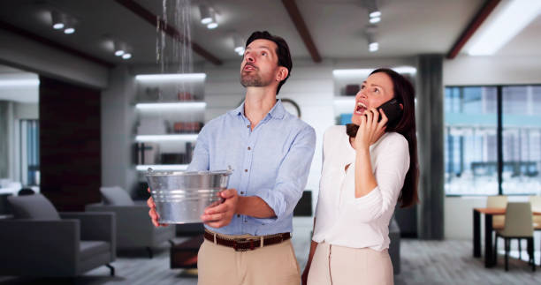Best Flood restoration services  in Shelburne Falls, MA