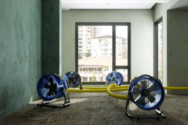 Best Commercial water damage restoration  in Shelburne Falls, MA